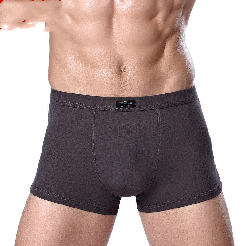 Bamboo Fiber Men's Underwear Boxer Briefs