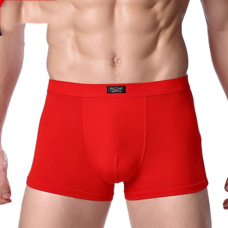 Bamboo Fiber Men's Underwear Boxer Briefs