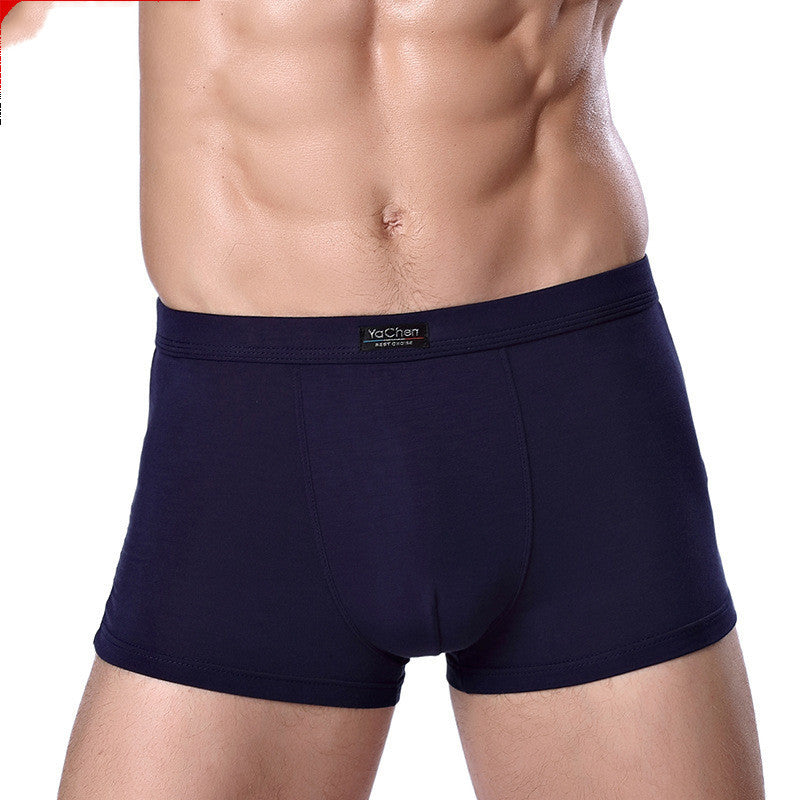 Men's Underwear Men's Boxer Briefs Bamboo Fiber Modal